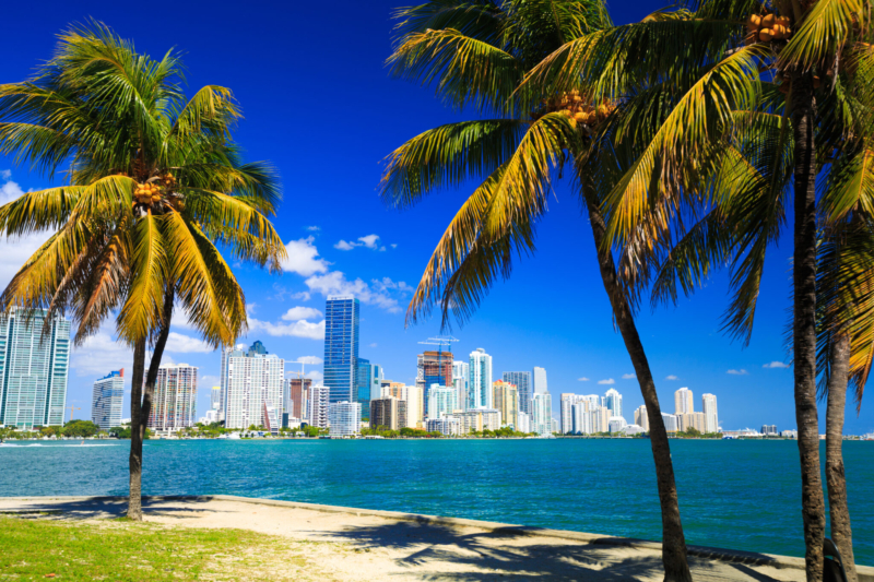 The Beauty & Cultures of Miami