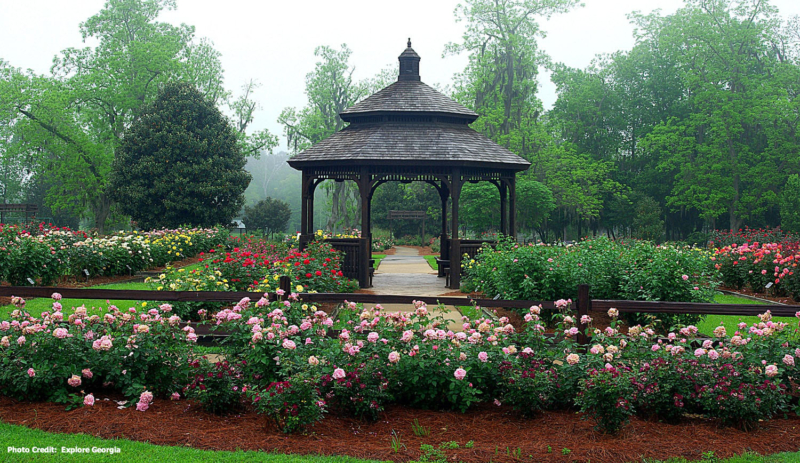 Thomasville – Georgia’s Rose City